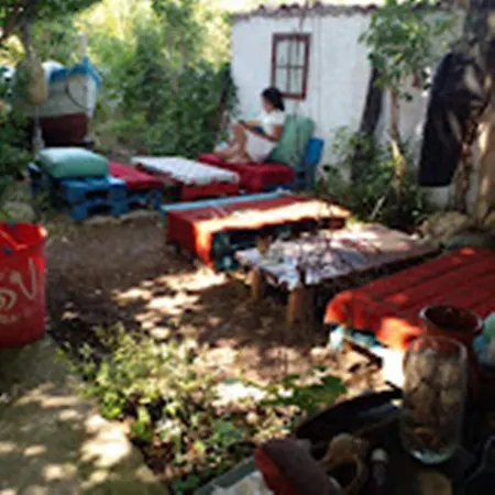 варвара- ятрус *