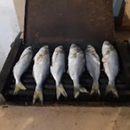 民宿 варвара- ятрус 瓦尔瓦拉