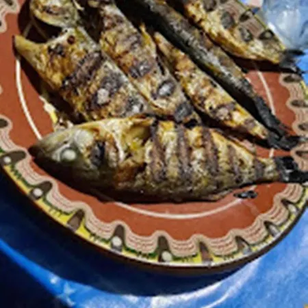 варвара- ятрус