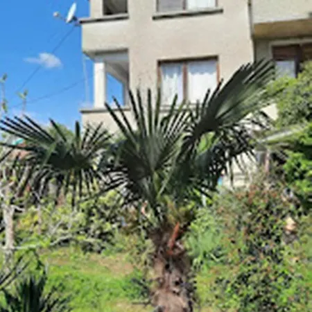 民宿 варвара- ятрус 瓦尔瓦拉