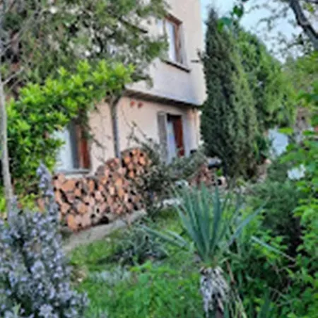 варвара- ятрус 民宿 *