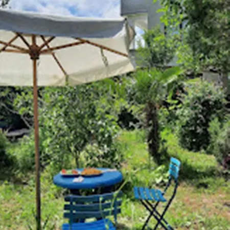 варвара- ятрус * Варвара