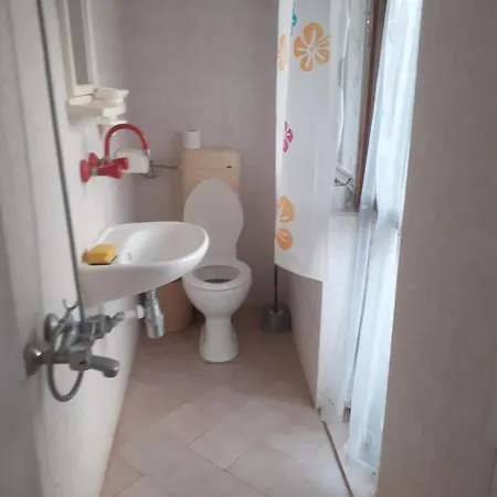 варвара- ятрус *