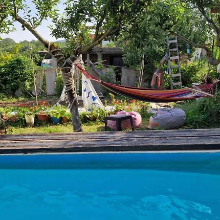 варвара- ятрус Проживание в семье *