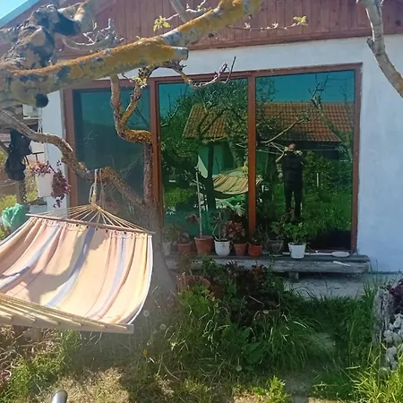 варвара- ятрус Gazde/Camere de închiriat