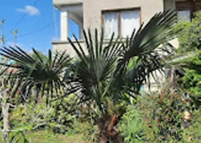 Privat bolig варвара- ятрус Varvara (Burgas)