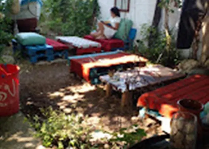 варвара- ятрус *